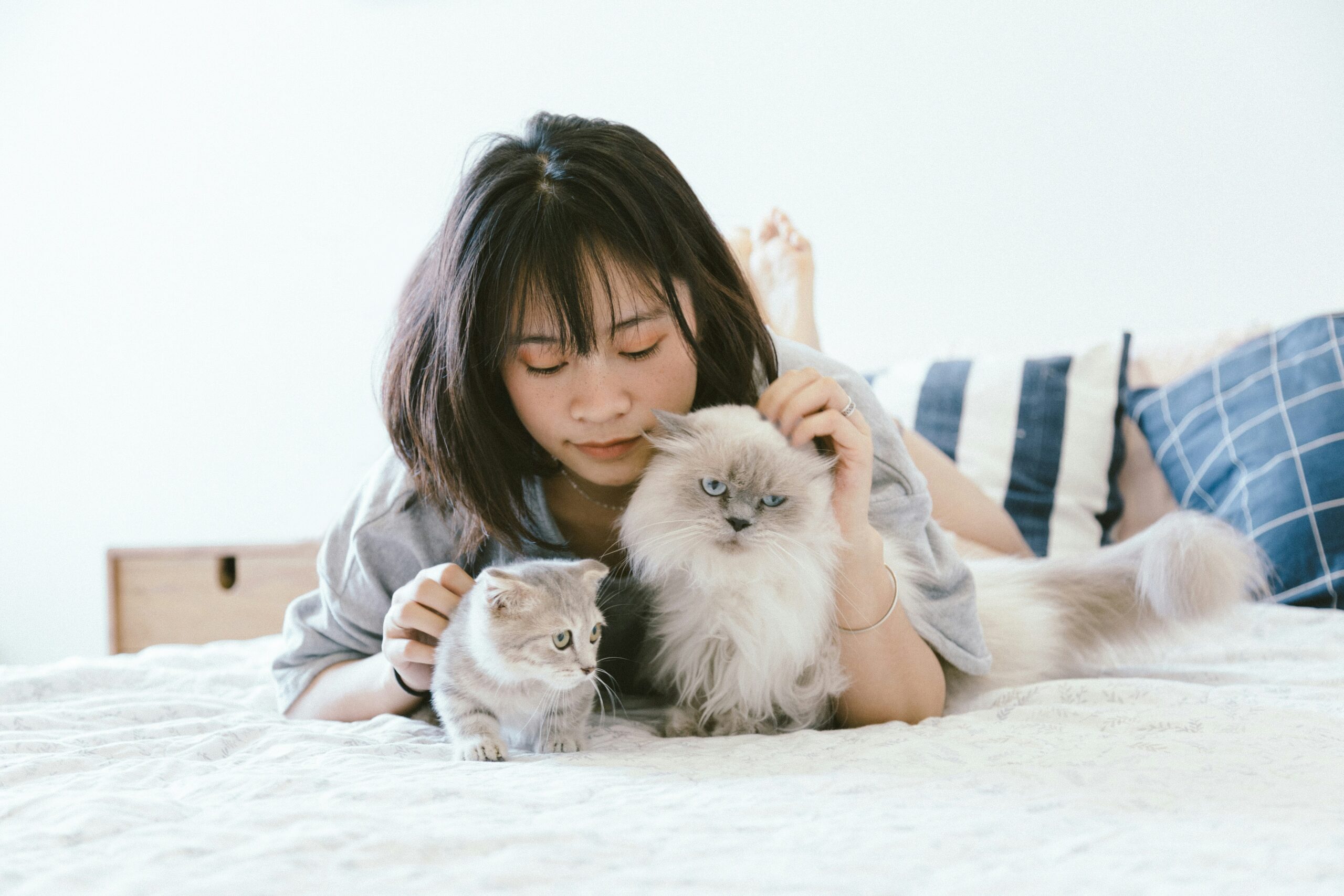 女性と猫